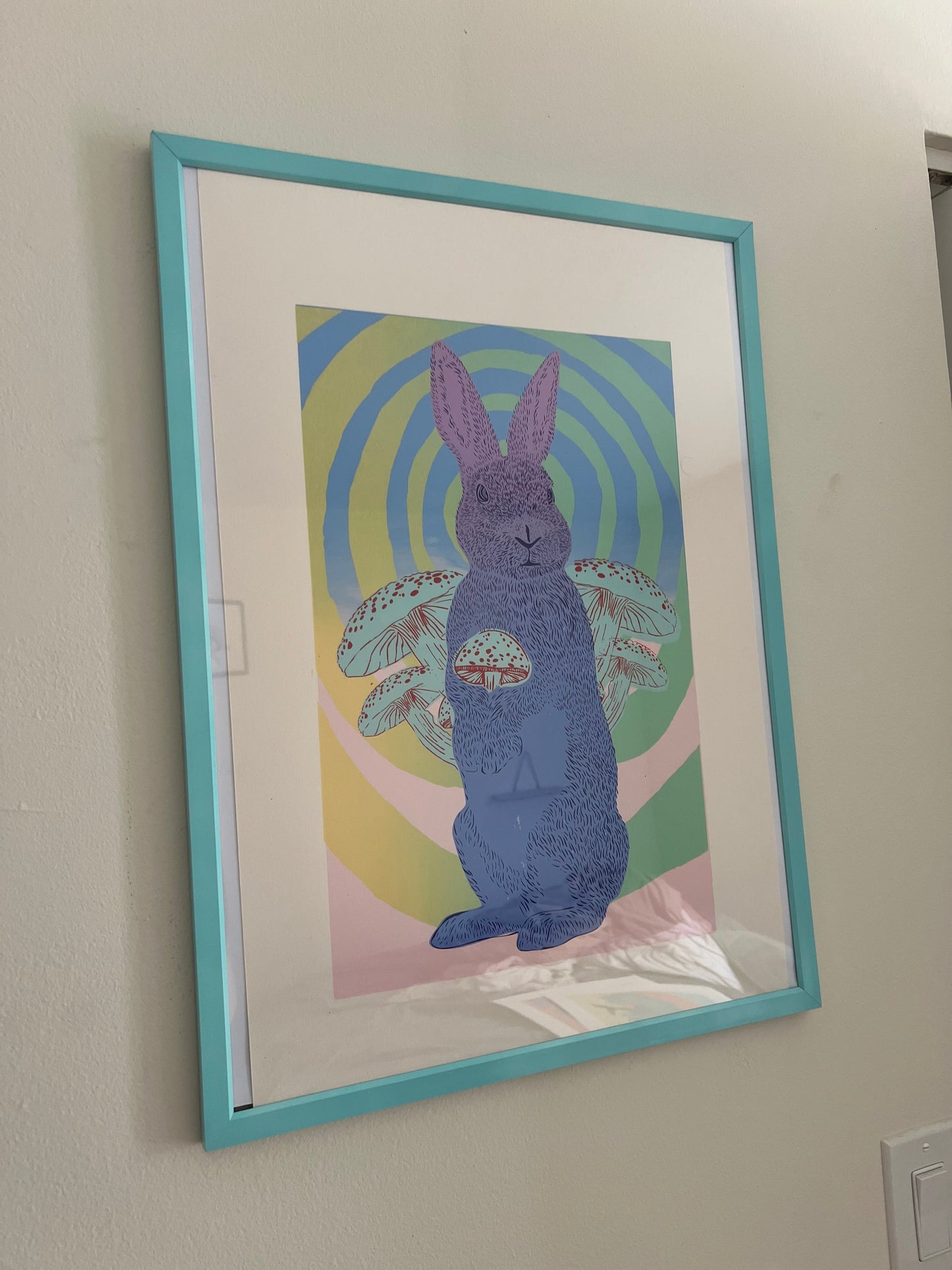 Bunny